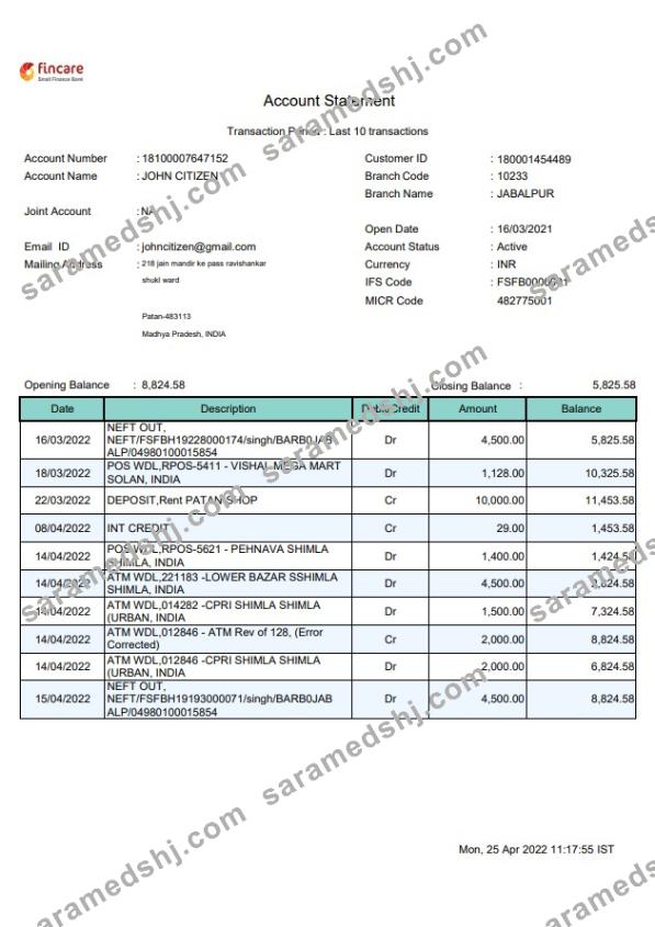 India Fincare bank statement